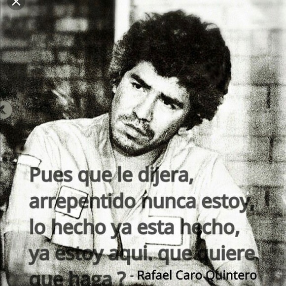 Meet your Posher, Nacho - Picture 1 of 1